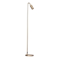 ByRydens - Golvlampa CURVE 1xGU10/7W/230V guldig