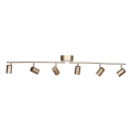ByRydens - Spotlight CORRECT 6xGU10/7W/230V guld