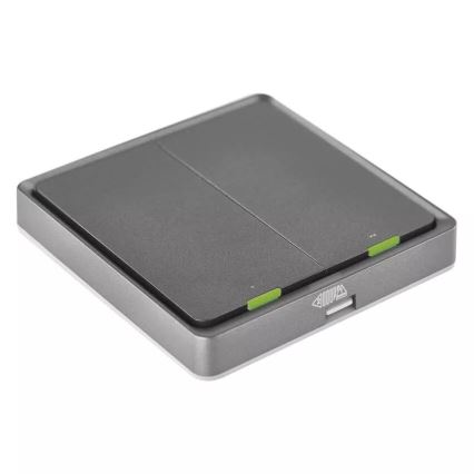 Byta 2-knapp GoSmart 1xCR2430 Tuya svart