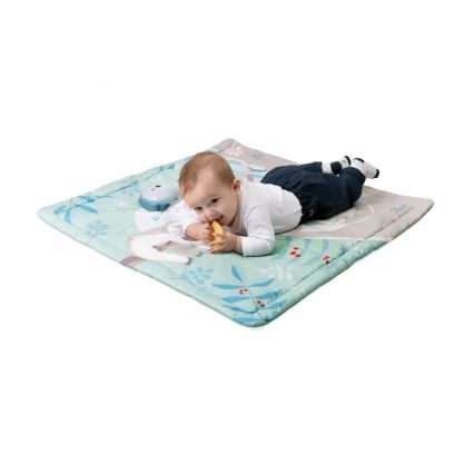 Chicco - Barnfilt för lek 2i1 3xAAA uggla