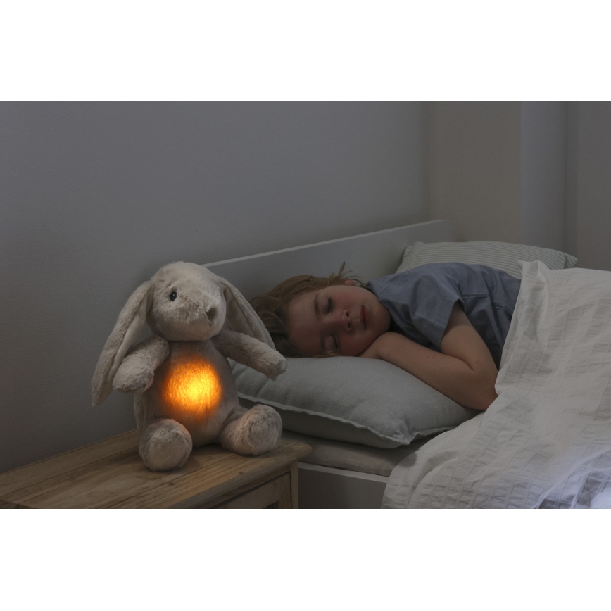 Cloud B - Goskompis med melodi och ljus kanin + USB