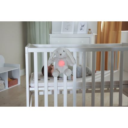 Cloud B - Goskompis med melodi och ljus kanin + USB