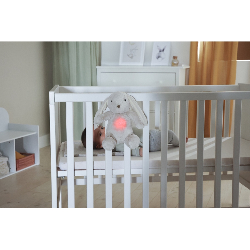 Cloud B - Goskompis med melodi och ljus kanin + USB