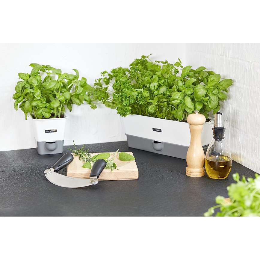 Cole&Mason - Saltkvarn CAPSTAN BEECH bok 20 cm