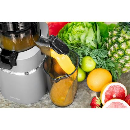 Concept LO7120 - Långsam juicepress JUICY 250W/230V grå