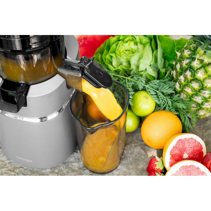 Concept LO7120 - Långsam juicepress JUICY 250W/230V grå