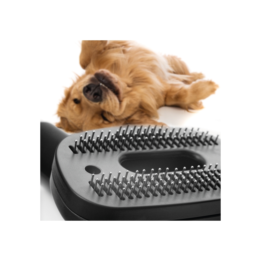 Concept VP5240N - Dammsugare utan påse 4A RADICAL PET EXPERT 2,5 l 800W/230V brons
