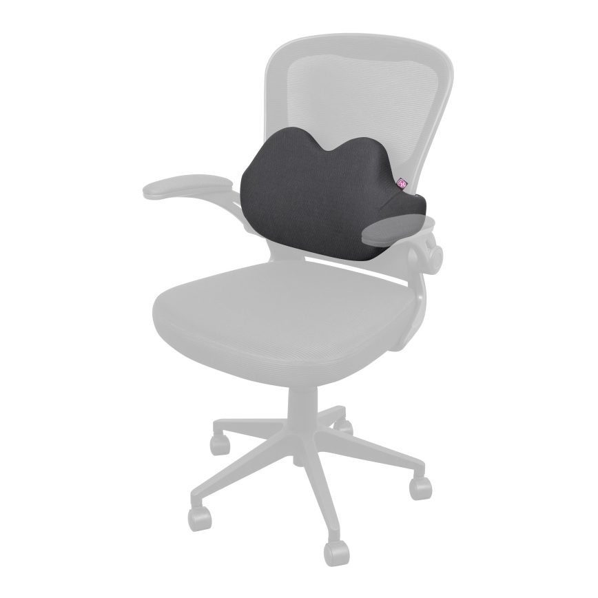 CONNECT IT CFH-5502-GY - Lumbar stolstöd antracit