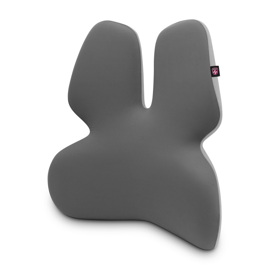 CONNECT IT CFH-5902-GY - Lumbar stolstöd grå
