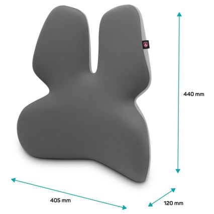 CONNECT IT CFH-5902-GY - Lumbar stolstöd grå