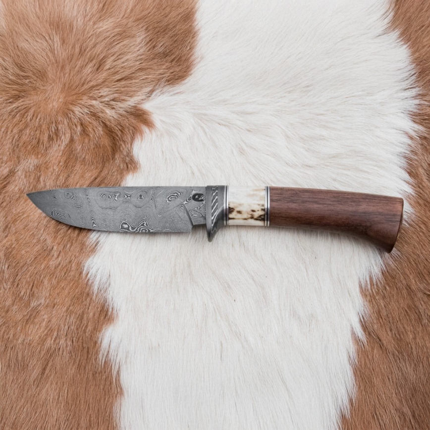 Damaskus jaktkniv 11,8 cm valnöt/renhorn
