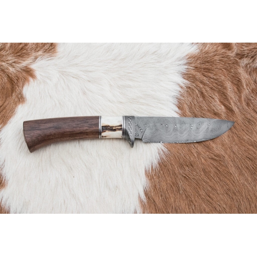 Damaskus jaktkniv 11,8 cm valnöt/renhorn