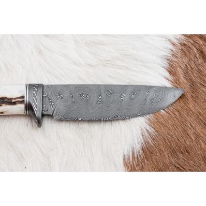 Damaskus jaktkniv 11,8 cm valnöt/renhorn
