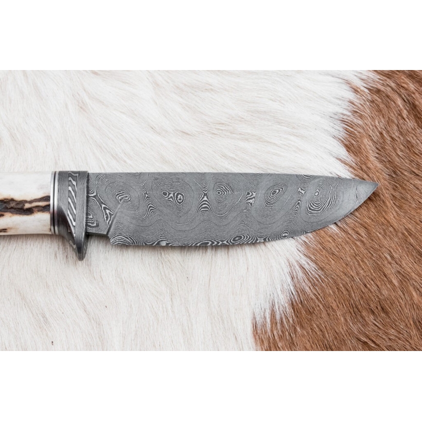 Damaskus jaktkniv 11,8 cm valnöt/renhorn