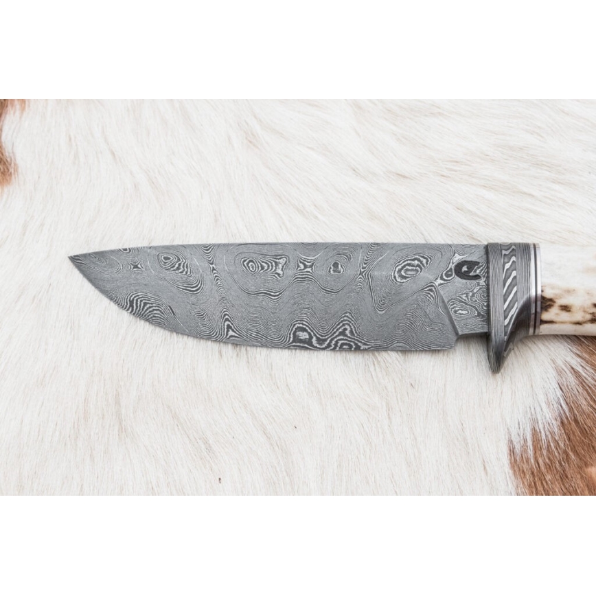 Damaskus jaktkniv 11,8 cm valnöt/renhorn