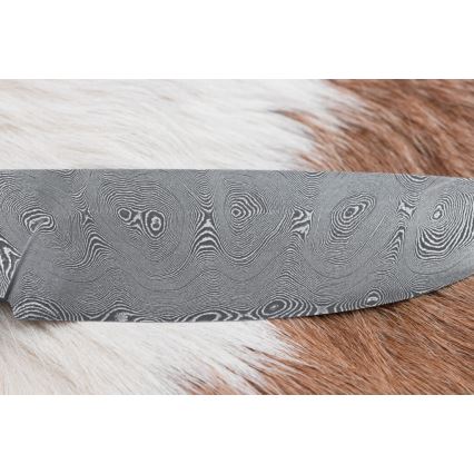 Damaskus jaktkniv 11,8 cm valnöt/renhorn