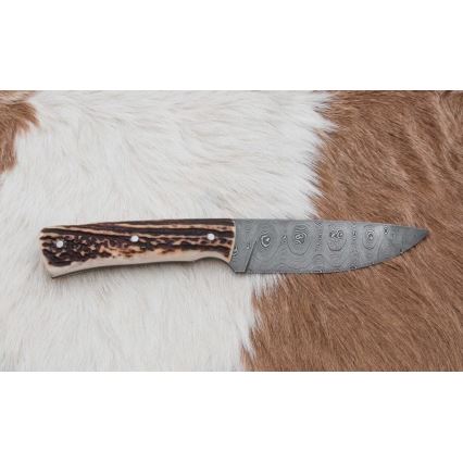 Damaskus jaktkniv 11 cm renhorn