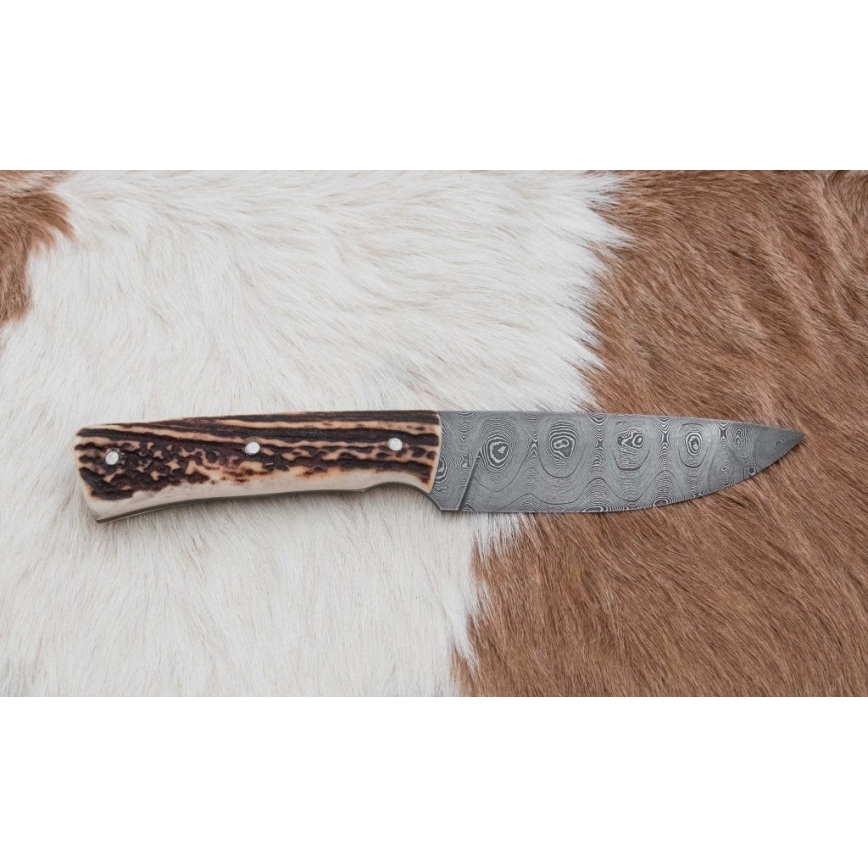 Damaskus jaktkniv 11 cm renhorn