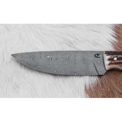 Damaskus jaktkniv 11 cm renhorn