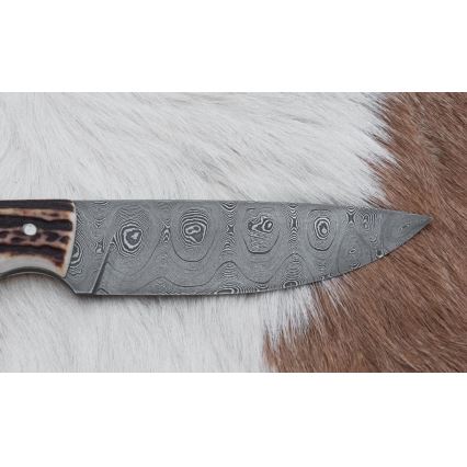 Damaskus jaktkniv 11 cm renhorn