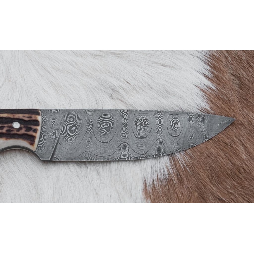 Damaskus jaktkniv 11 cm renhorn