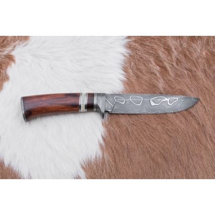 Damaskus jaktkniv 13,8 cm ironwood/buffelben