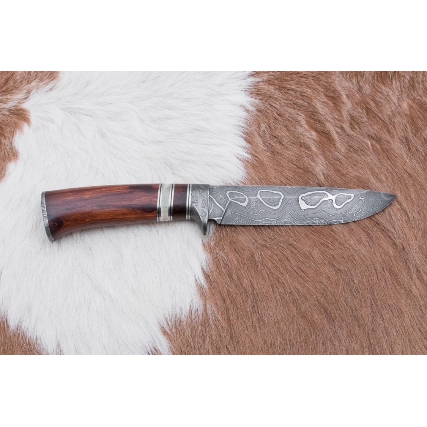 Damaskus jaktkniv 13,8 cm ironwood/buffelben
