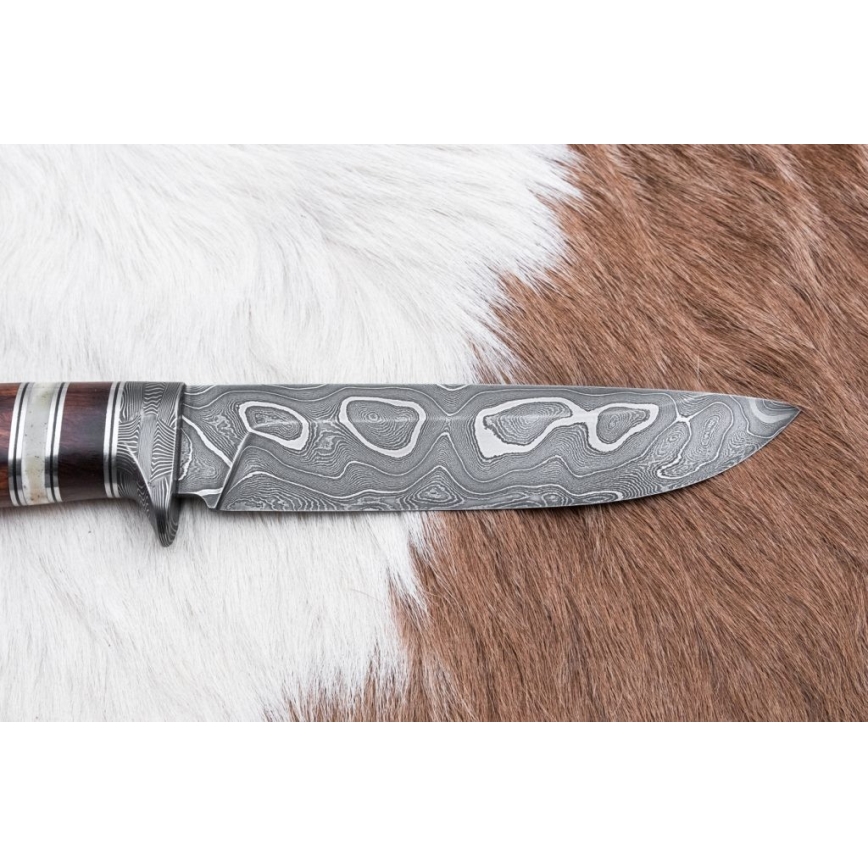 Damaskus jaktkniv 13,8 cm ironwood/buffelben