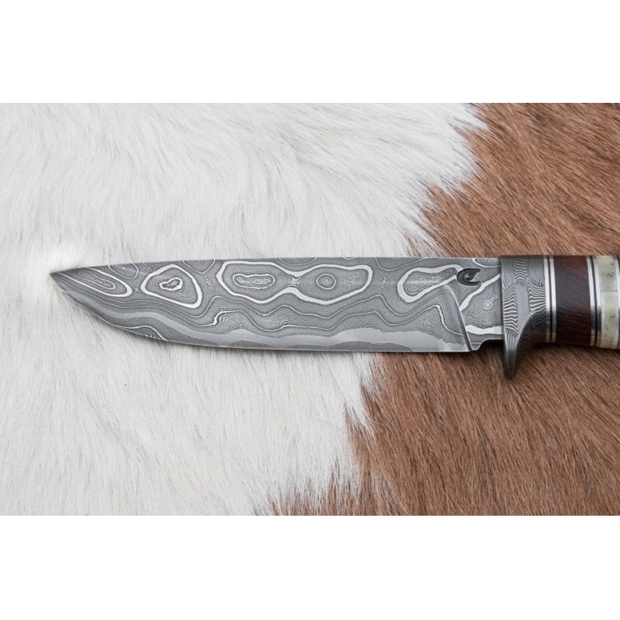 Damaskus jaktkniv 13,8 cm ironwood/buffelben