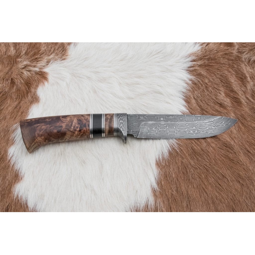 Damaskus jaktkniv 13 cm poplar/ebenholts
