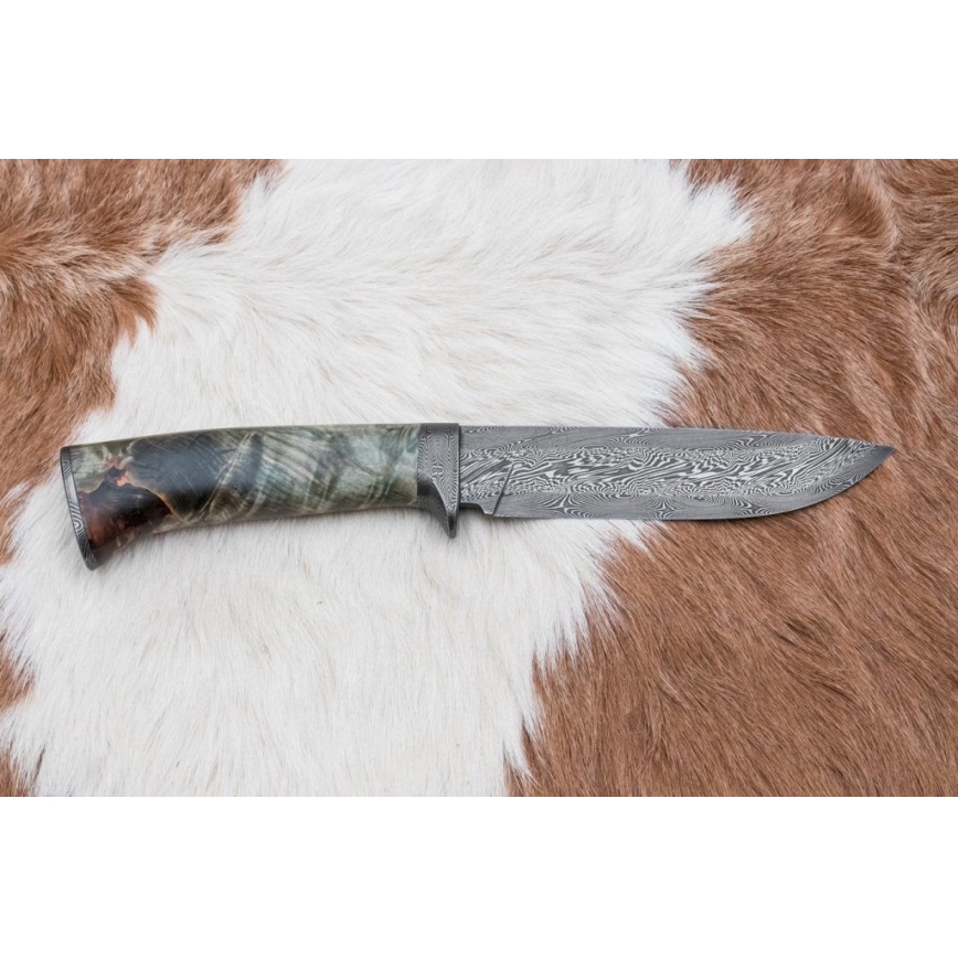 Damaskus jaktkniv 14 cm Kastanjeträd