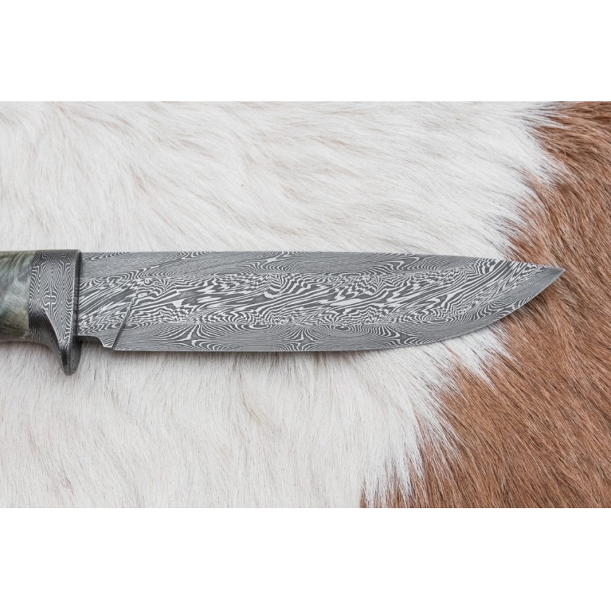 Damaskus jaktkniv 14 cm Kastanjeträd