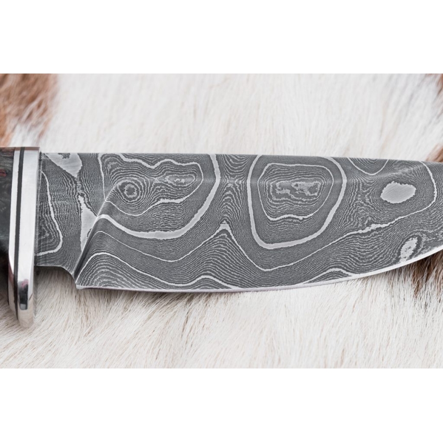 Damaskus jaktkniv 9,7 cm valnöt/lönn