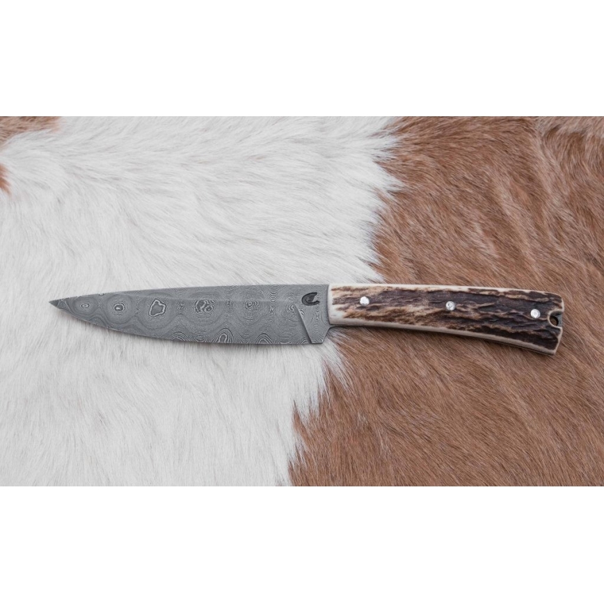 Damaskus jaktsändningskniv med minisåg 12 cm renhorn