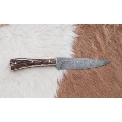 Damaskus jaktsändningskniv med minisåg 12 cm renhorn