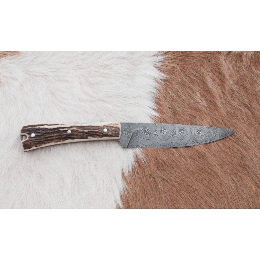 Damaskus jaktsändningskniv med minisåg 12 cm renhorn