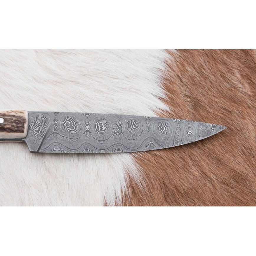 Damaskus jaktsändningskniv med minisåg 12 cm renhorn