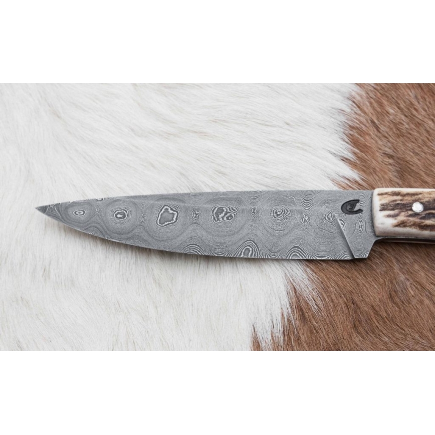 Damaskus jaktsändningskniv med minisåg 12 cm renhorn