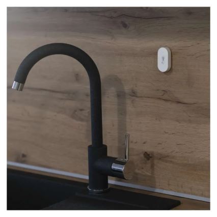Digital trådlös termometer GoSmart 1×CR2032
