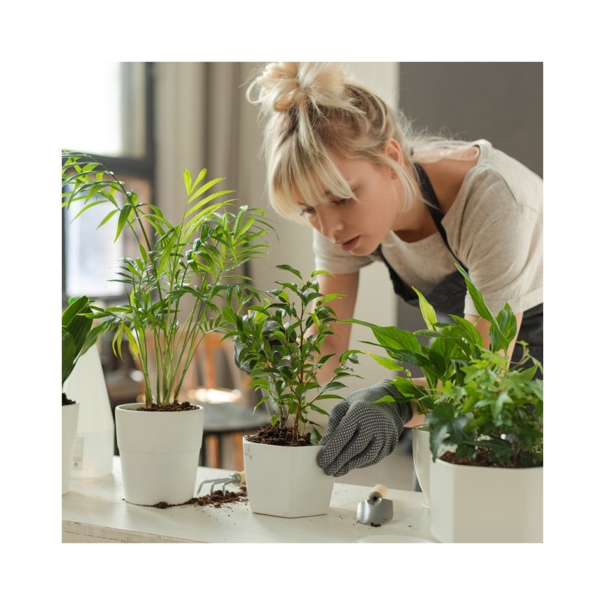 LED dimmbar bordslampa för växtodling VERDI LED/12W/230V 4500K CRI 95 vit