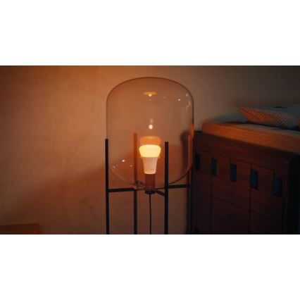 Dimbar LED-lampa Philips Hue WHITE AND COLOR AMBIANCE E27/11,8W/230V 1000-20000K