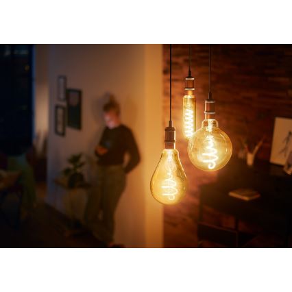 Dimbar LED-lampa VINTAGE Philips A160 E27/6,5W/230V 2000K