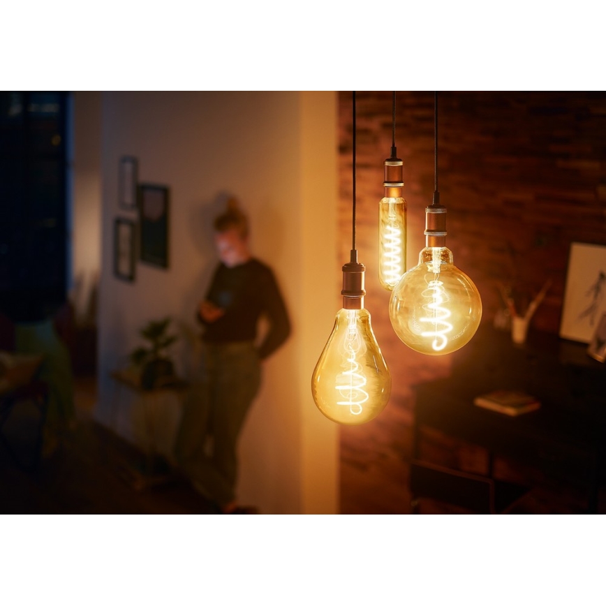 Dimbar LED-lampa VINTAGE Philips A160 E27/6,5W/230V 2000K