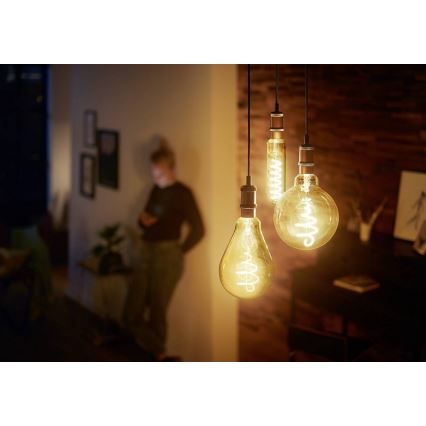 Dimbar LED-lampa VINTAGE Philips T65 E27/6,5W/230V 2000K