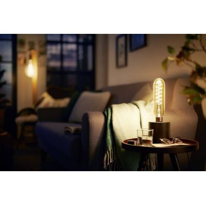 Dimbar LED-lampa VINTAGE Philips T65 E27/6,5W/230V 2000K