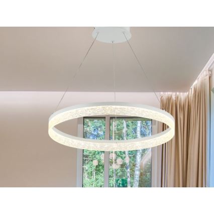 LED dimbar pendellampa på vajer ALIANZ LED/45W/230V 3000-6000K Ø 60 cm + fjärrkontroll