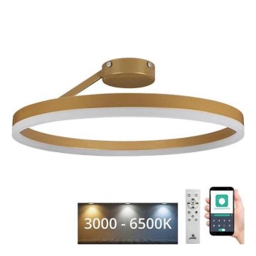 Dimbar LED ytmonterad ljuskrona LED/40W/230V 3000-6500K guld + fjärrkontroll