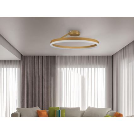 Dimbar LED ytmonterad ljuskrona LED/40W/230V 3000-6500K guld + fjärrkontroll