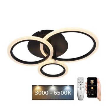 Dimbar LED ytmonterad ljuskrona LED/40W/230V 3000-6500K svart + fjärrkontroll