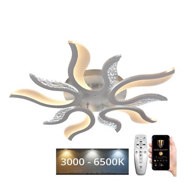 Dimbar LED ytmonterad ljuskrona LED/65W/230V 3000-6500K vit + fjärrkontroll